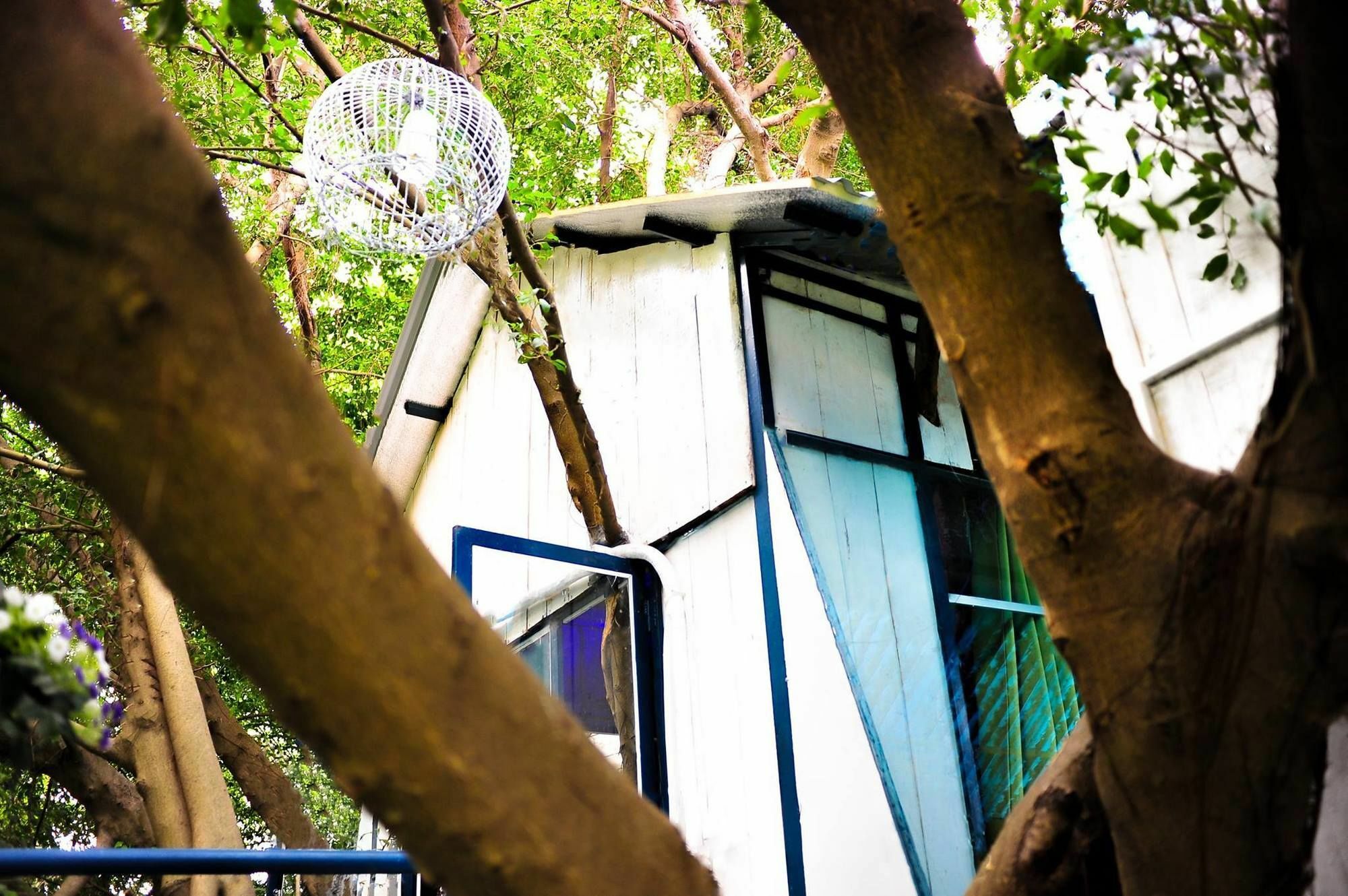 Dao Anh Khanh Tree House Hanoj Exteriér fotografie