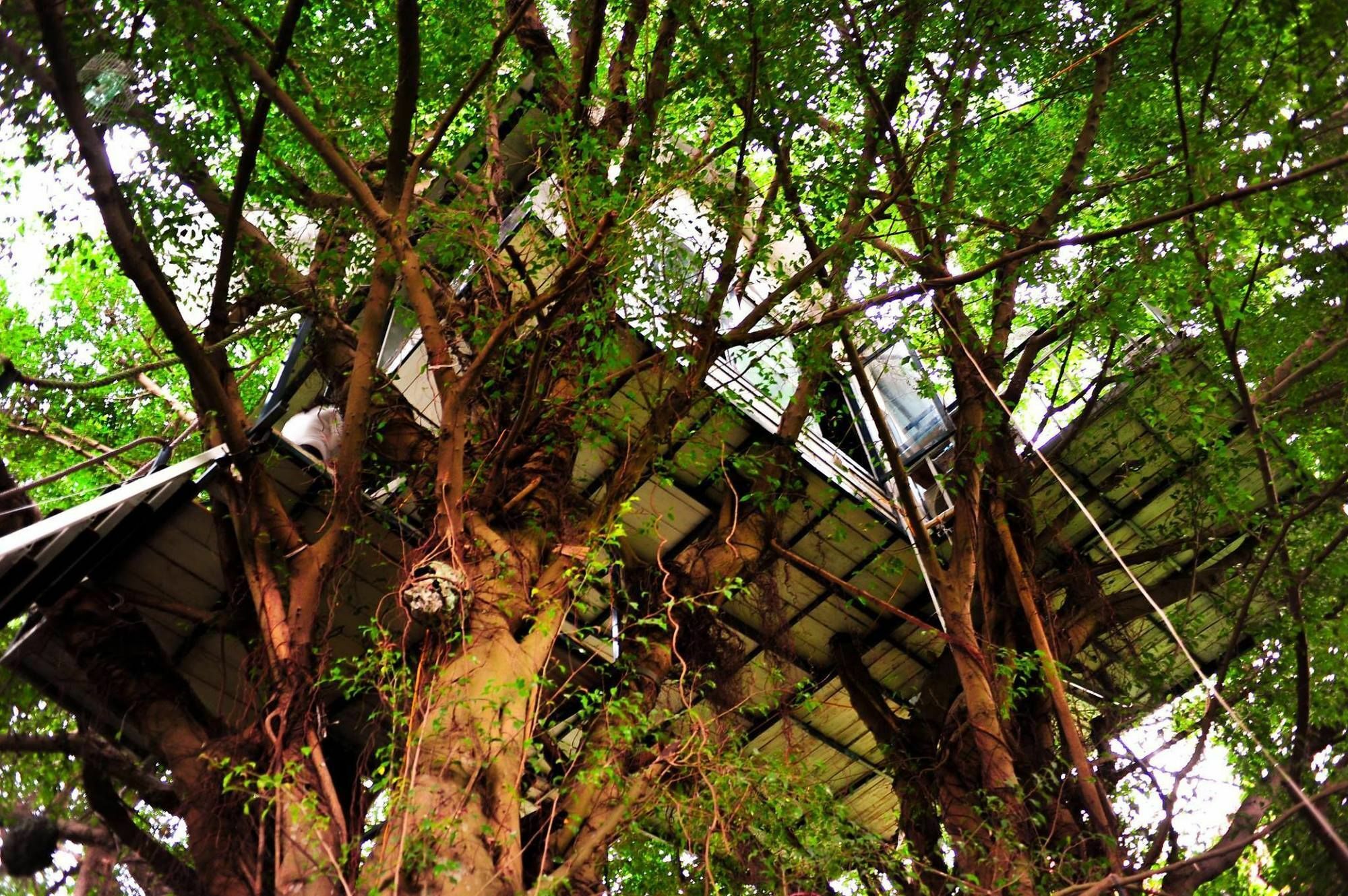 Dao Anh Khanh Tree House Hanoj Exteriér fotografie